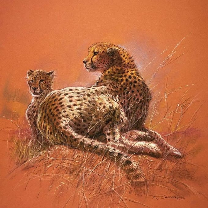 Kunstdruk Renato Casaro - Cheetah Mother 50x50cm