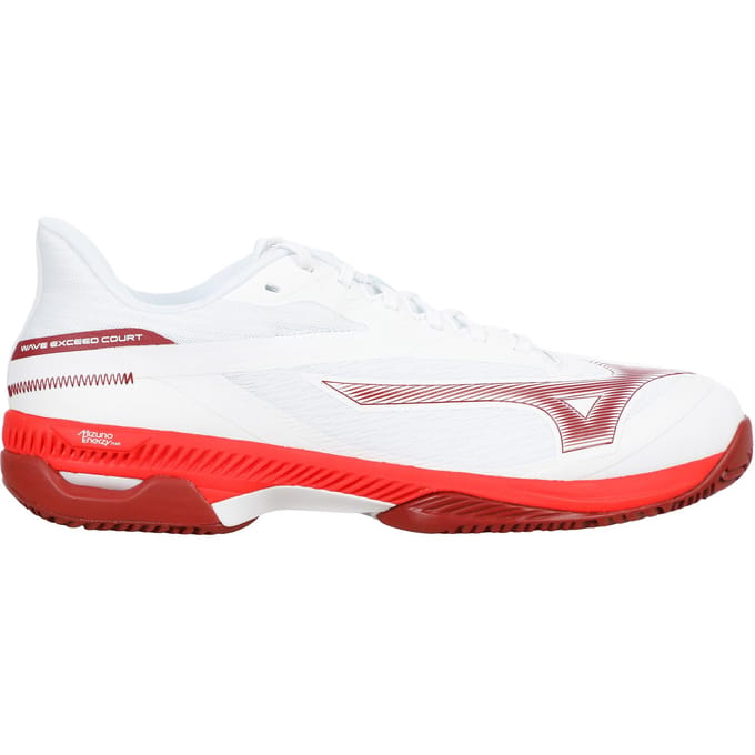 Mizuno Wave Exceed Court Tennisschoenen Heren
