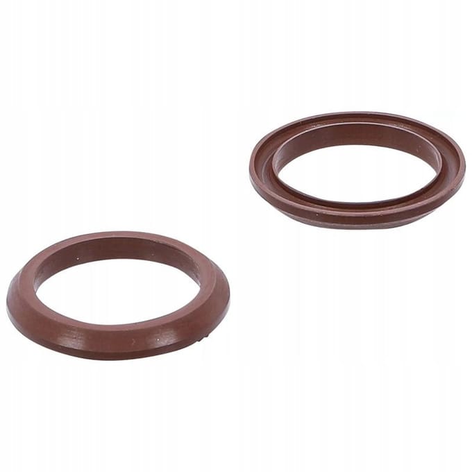 Fluoroelastomeer Afdichting voor BGS 4067 & 4067-1