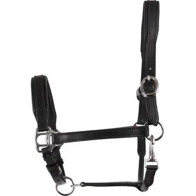 Leren halster voor paarden HorseGuard