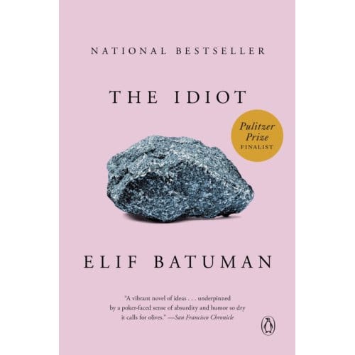 Idiot - Elif Batuman