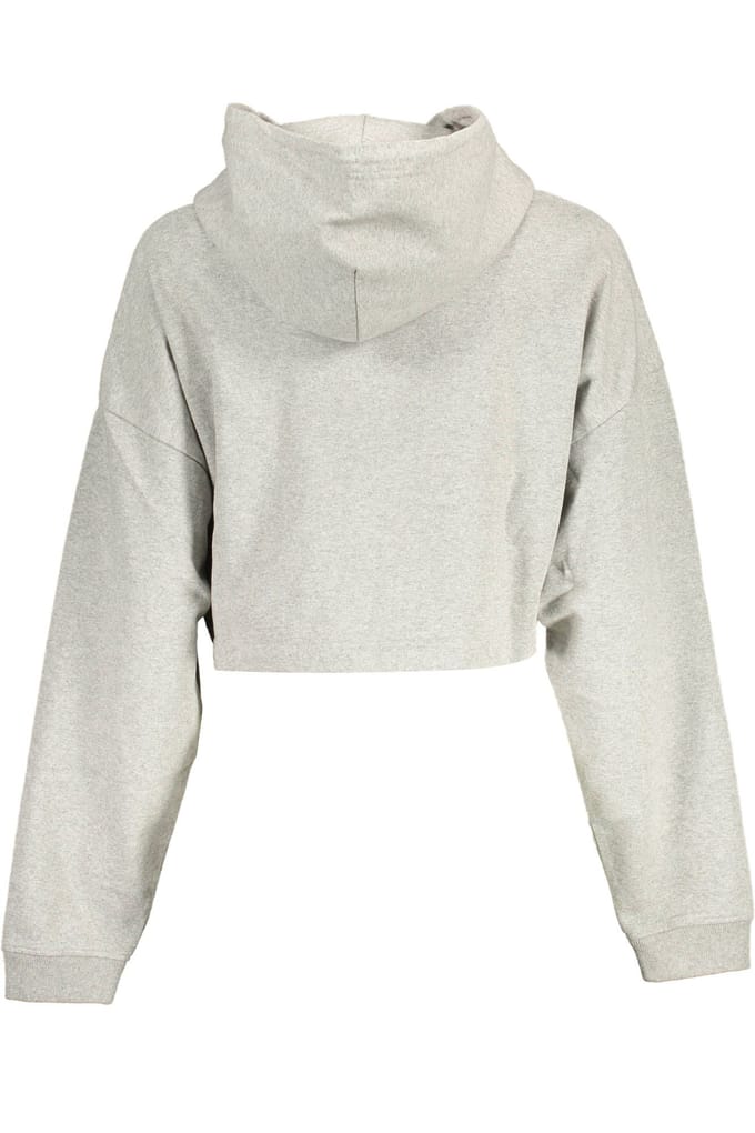Capuchon sweaters Tommy Hilfiger dw0dw14872
