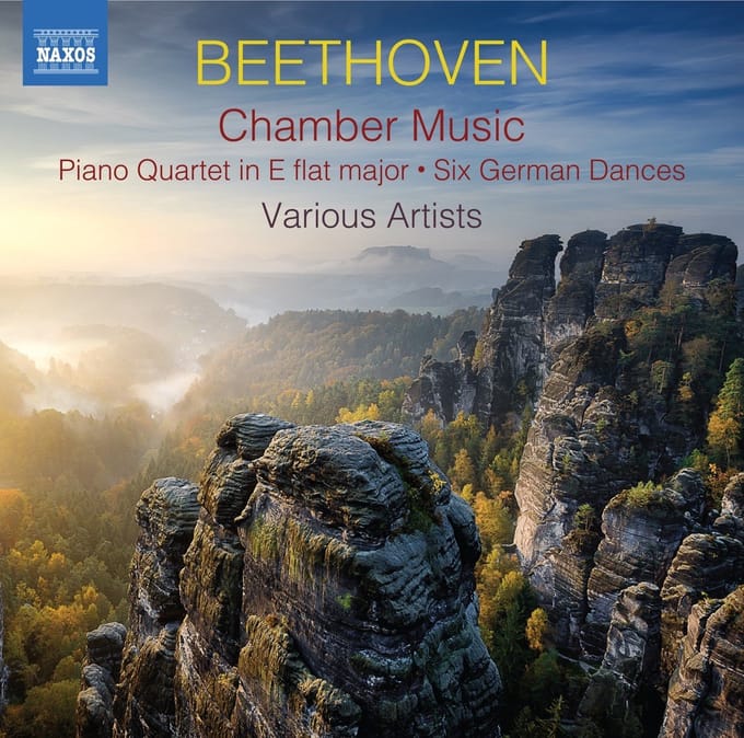 Rodney Dorsey - Beethoven: Chamber Music (2 CD)