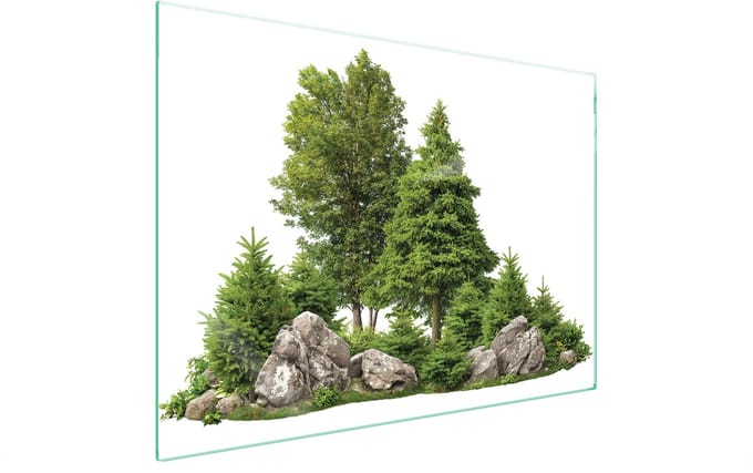 TMK ArtDeko - Snijplank - Beschermglas - 70x52 cm - Decor: Bomen