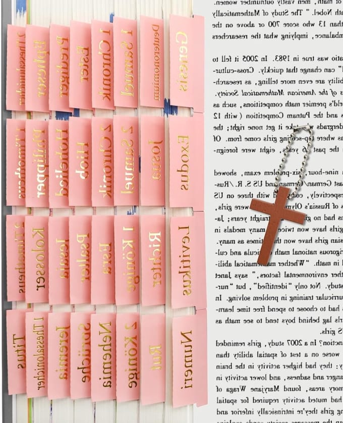 Bijbelregister voor vrouwen - Studeren, journaling en accessoires met 96 tabs in groot lettertype, roze en gelamineerd