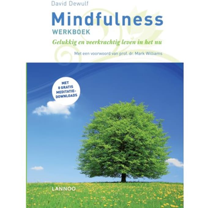 Mindfulness Werkboek - David Dewulf