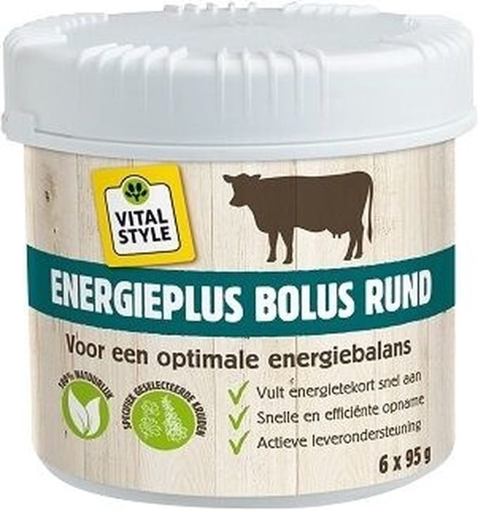 VitalStyle Energieplus Bolus 6 x 95 gram