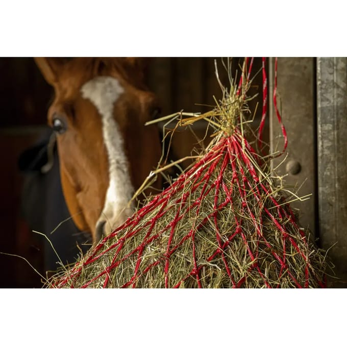 Hooi net Hippotonic Zari