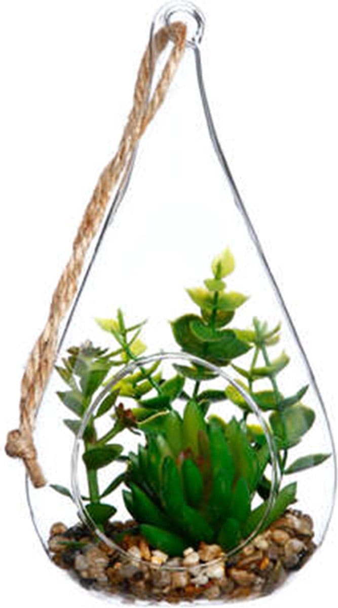 Glazen terrarium, druppelvorm H19.5cm - Overig - Crassulas - SILUMEN