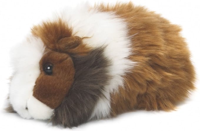 Pluche knuffel cavia bruin 19 cm