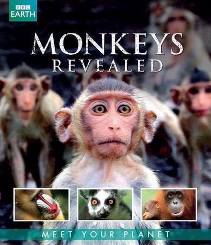 BBC Earth - Monkey's Revealed (Blu-ray)