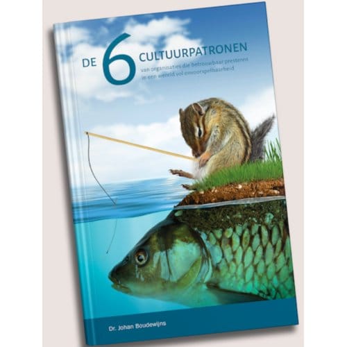 De 6 Cultuurpatronen - Johan Boudewijns