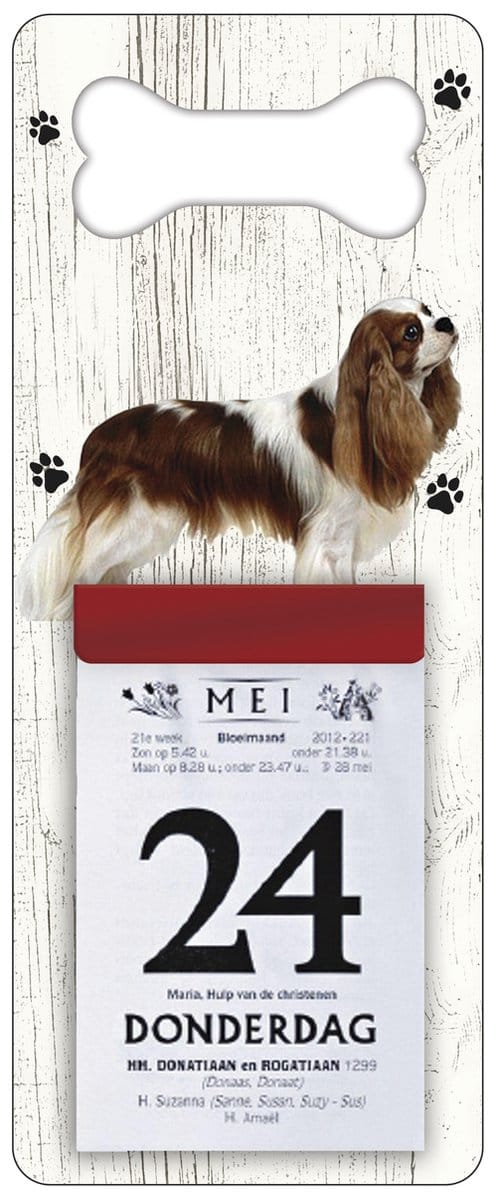 Scheurkalender 2027 Hond: King Charles