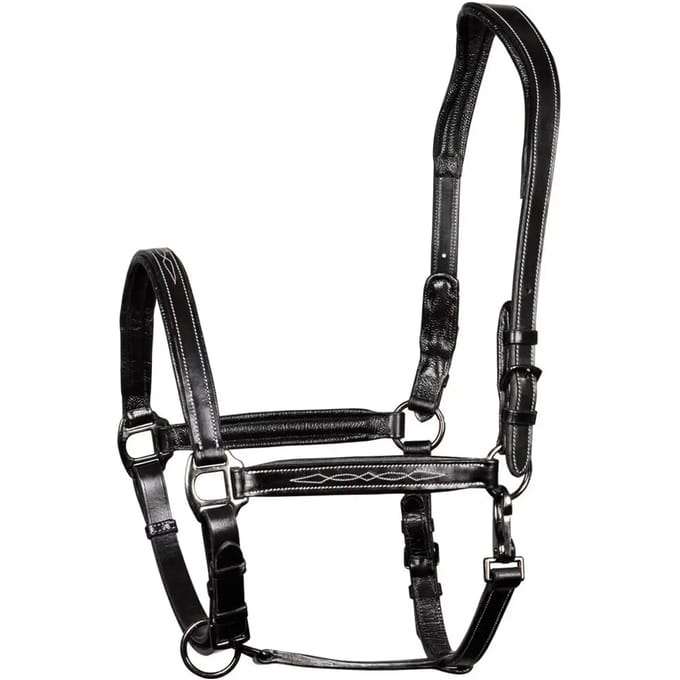 Lederen halster voor paarden Harry's Horse Supreme