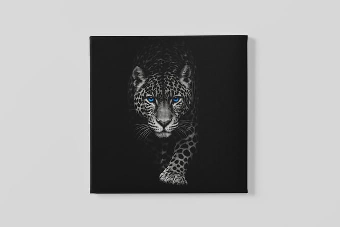 Vierkant Canvas Schilderij - Luipaard - Zwart - Grijs - Wanddecoratie - Modern - 100x100x2 cm