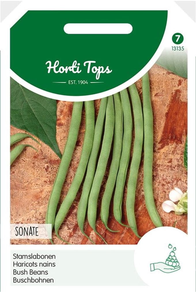 Hortitops Zaden - Stamslabonen Dawson Sonate