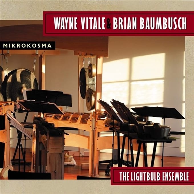 The Lightbulb Ensemble - Wayne Vitale & Brian Baumbusch: Mikrokosma (CD)