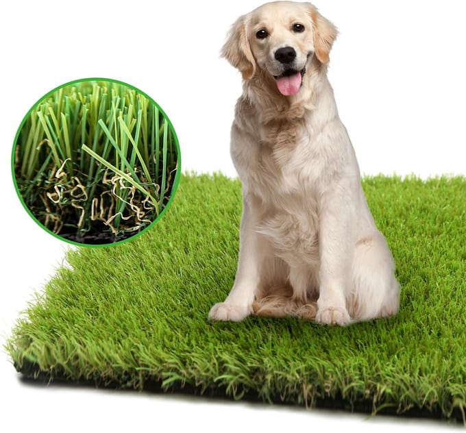 Zindelijkheidstraining Hondenplasmat Kunstgras voor Puppy Binnen Buiten A0,5 x 2,4 m