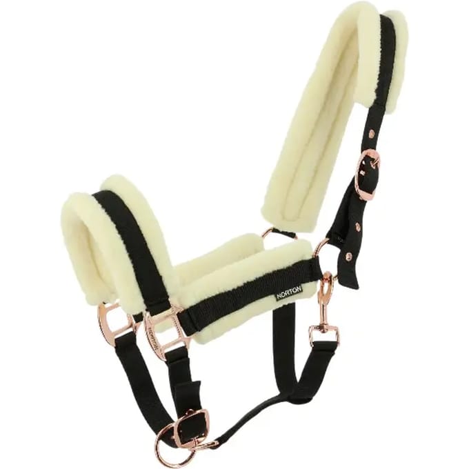 Halster voor paarden Norton Comfy