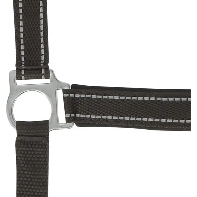 Halter Norton Reflective