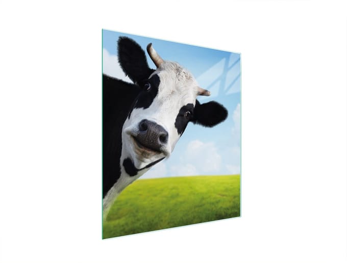 TMK ArtDeko - Snijplank - 45x52 cm - Kleur Krowa - Glas