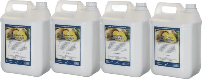 Bodylotion Fresh Ginger 5 Liter - set van 4 stuks - navulling - Voordeelverpakking