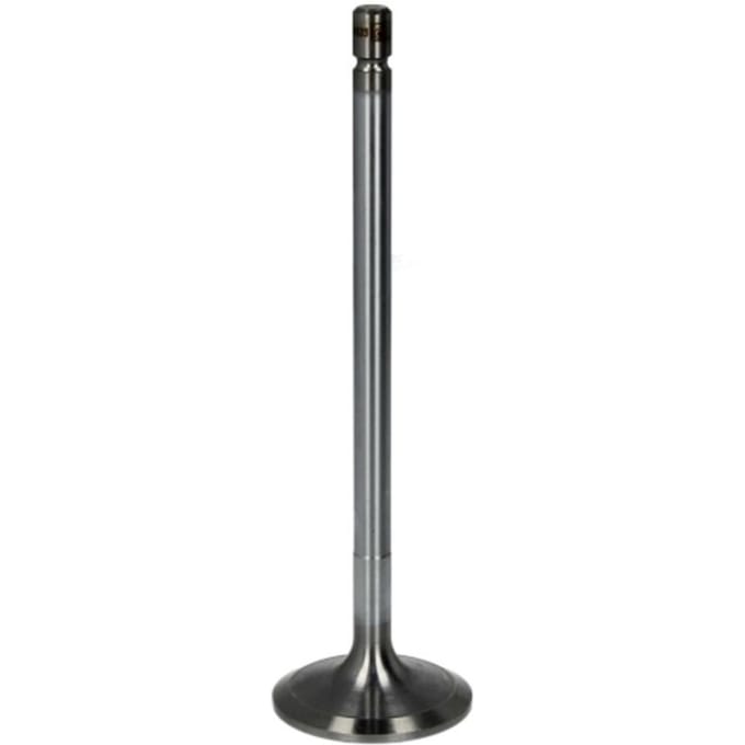 Inlaatklep DT Spare Parts 2.10002