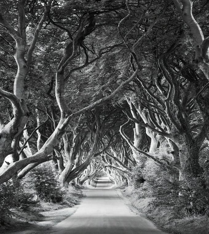 Fotobehang - Forevenue 250x280cm - Vliesbehang