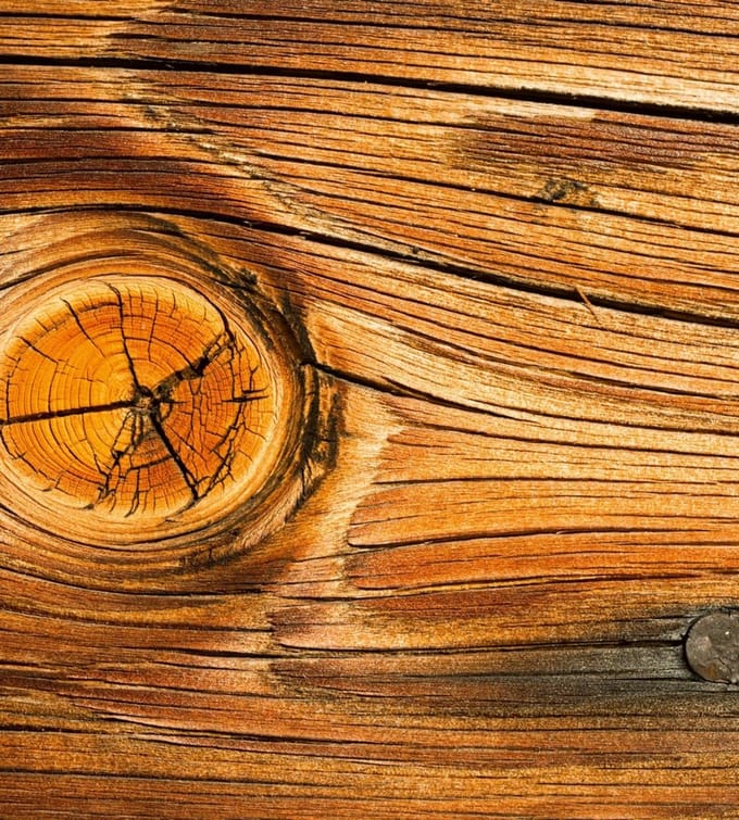 Fotobehang - Wood Knot 225x250cm - Vliesbehang