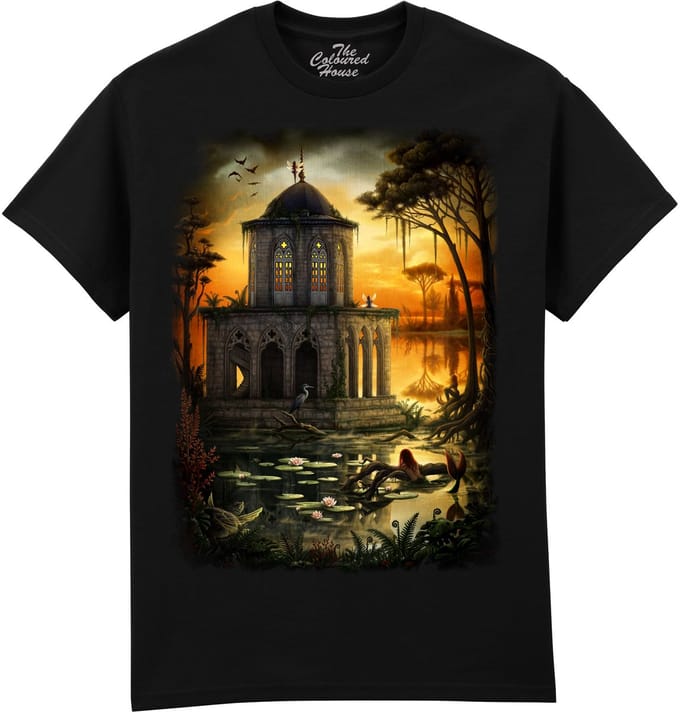The Gothic Library The Coloured House T-shirt M