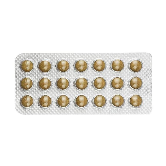 Salus Floradix IJzer-tabletten – Bij vermoeidheid – Voedingssupplement met ijzer – 84 tabletten