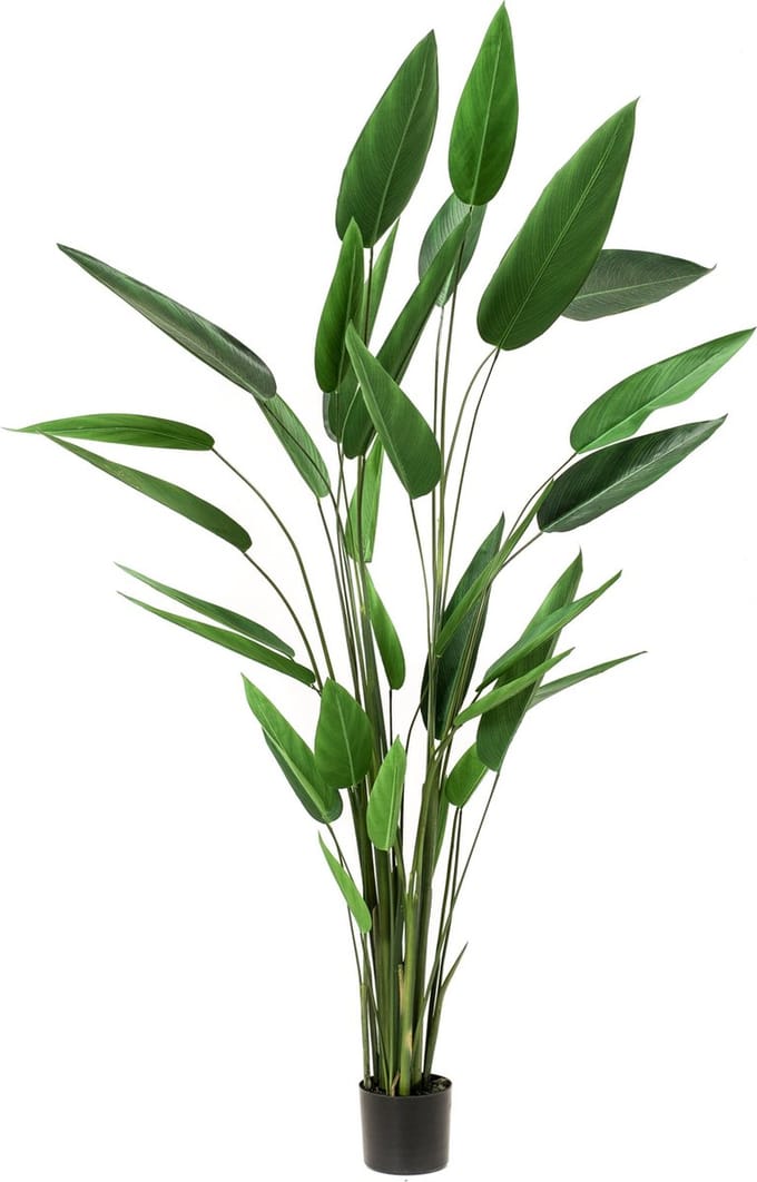 Emerald - Kunstplant Heliconia 220cm - Kunstplant voor binnen