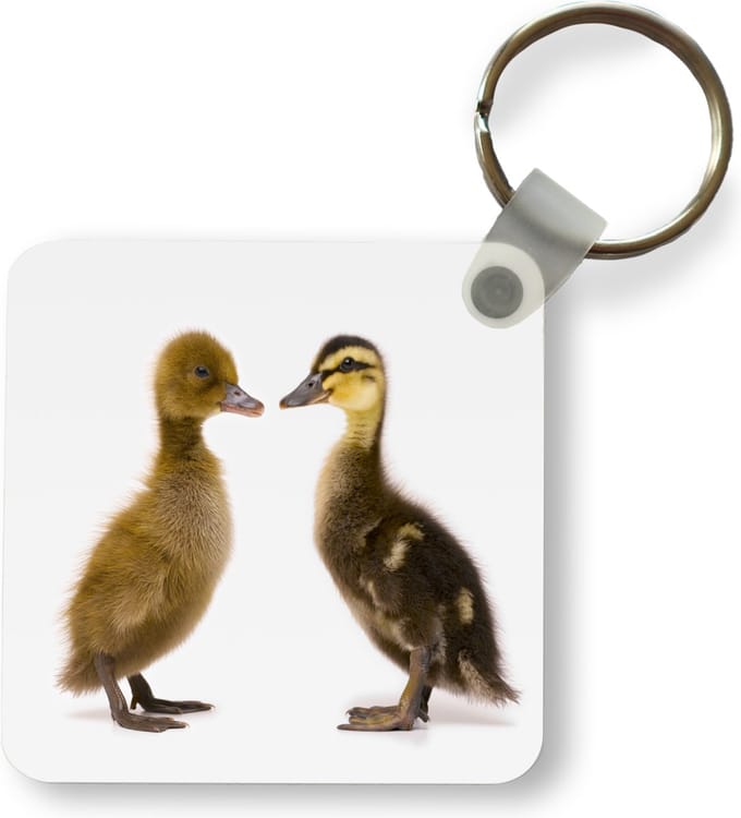 Sleutelhanger - Uitdeelcadeautjes - Twee baby eenden - Plastic