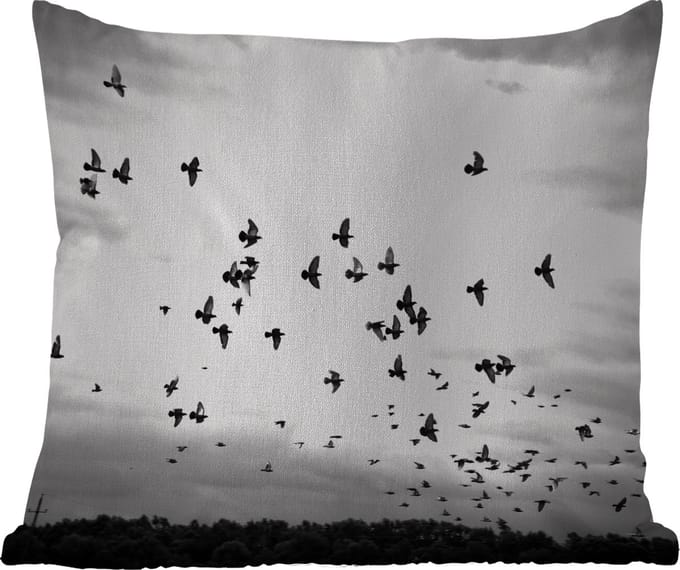 Tuinkussen - Dieren - Vogels - Wolken - Zwart - Wit - 40x40 cm - Weerbestendig
