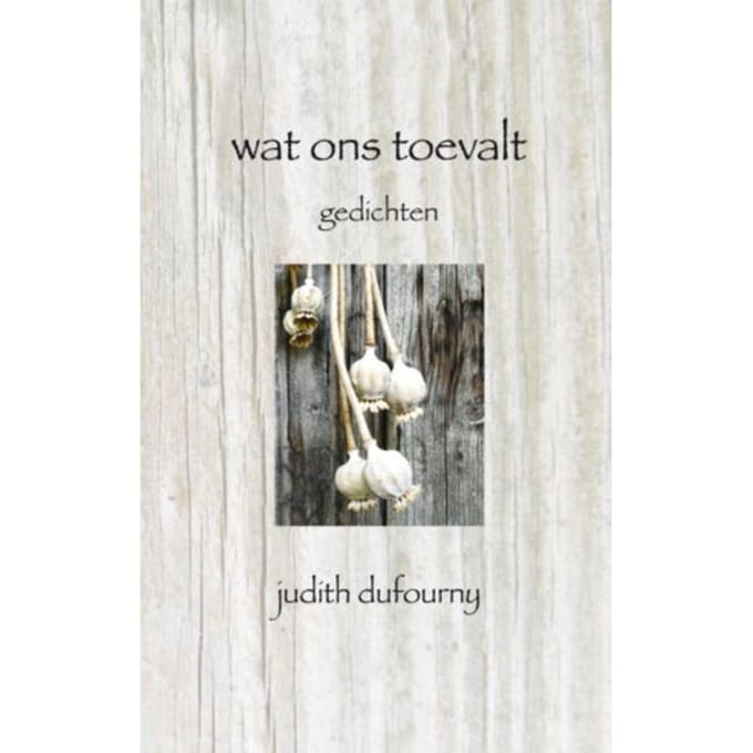 Wat Ons Toevalt - Judith Dufourny