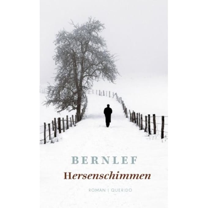Hersenschimmen - Bernlef