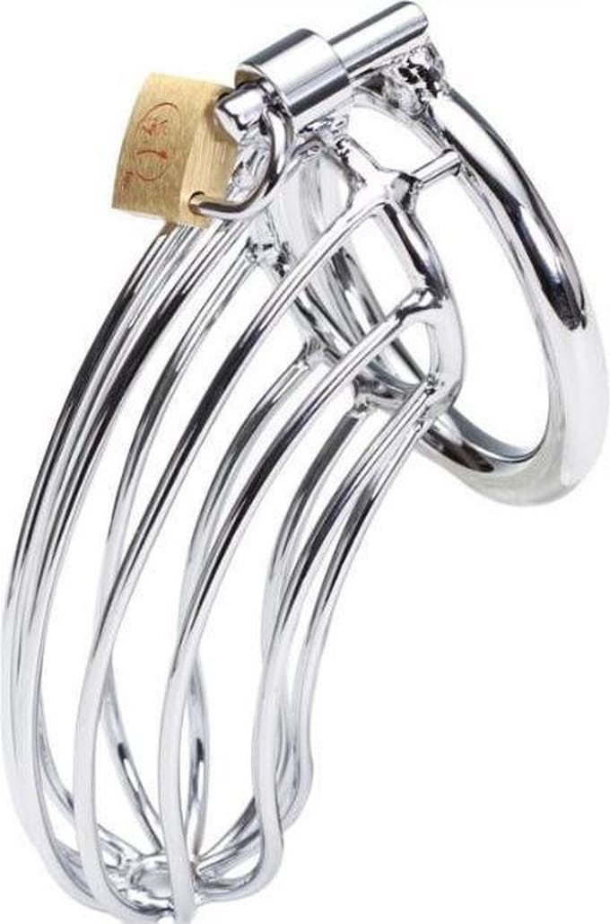 Chastity Cage - kuisheidskooi - voor mannen - stainless steel - Prolink Novelties® nr. 3
