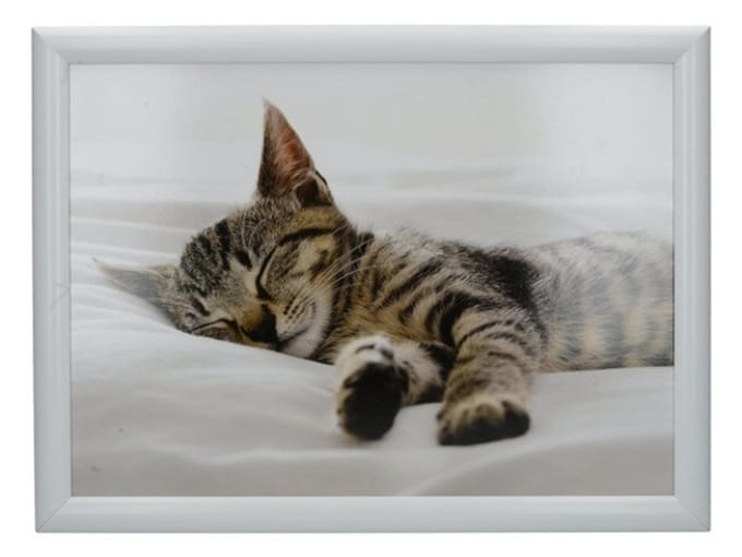 Laptray, Schootdienblad, Kitten, 44 x 34 cm - Creative Tops