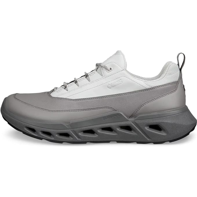 Baskets Ecco Biom 720 Low GTXS Lea