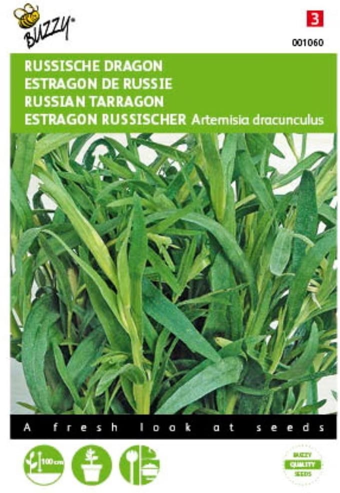 2 stuks Russische Dragon (Artemisia dracunculus)