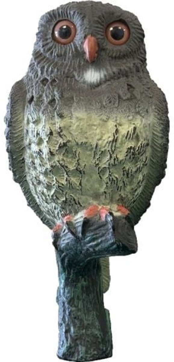 SuperFish Deco Vogel Kleine Uil