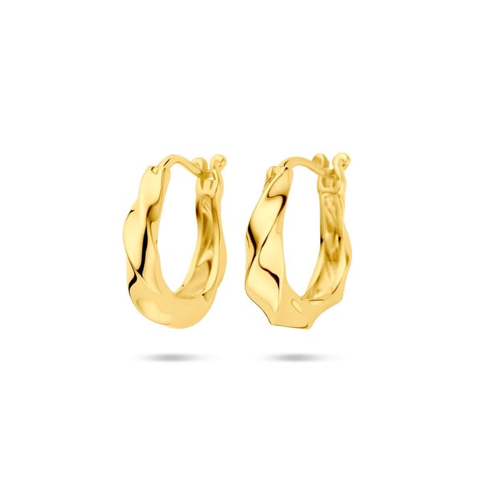Zilver Verguld (Geel) Oorringen 19 Mm 1 Micron 2103820