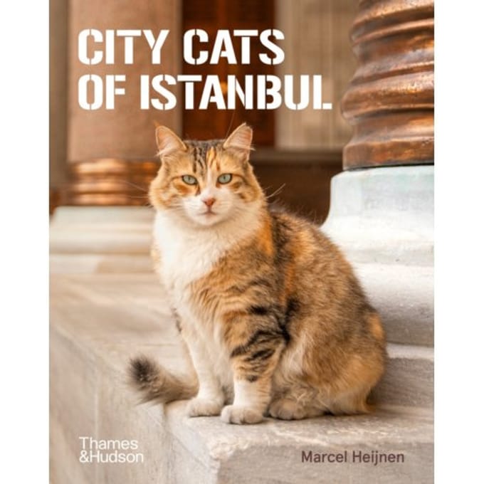 City Cats Of Istanbul - Marcel Heijnen