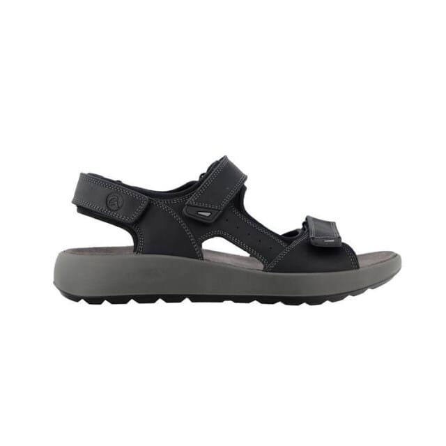 Ara 11-21506 piero