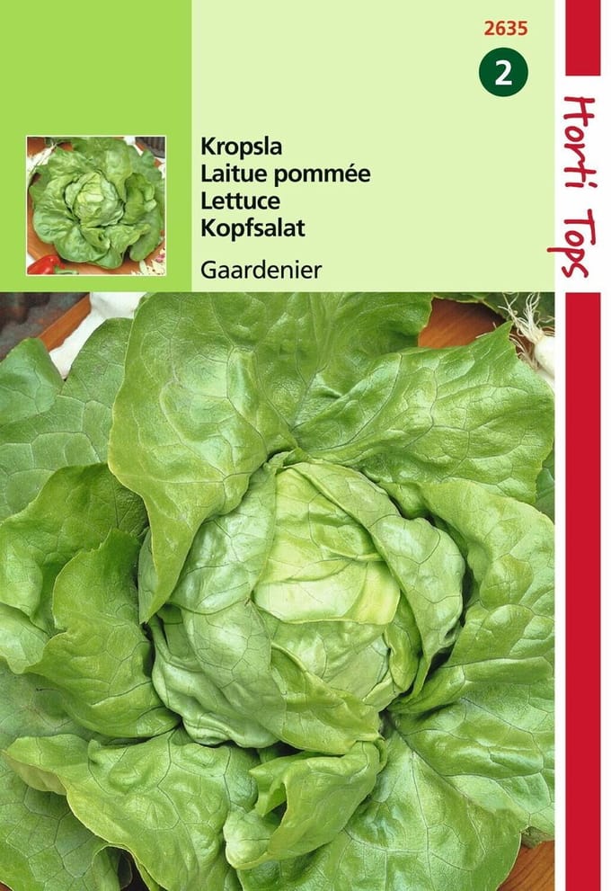 2 stuks - Hortitops - Kropsla Gaardenier Zeer Laatschietend