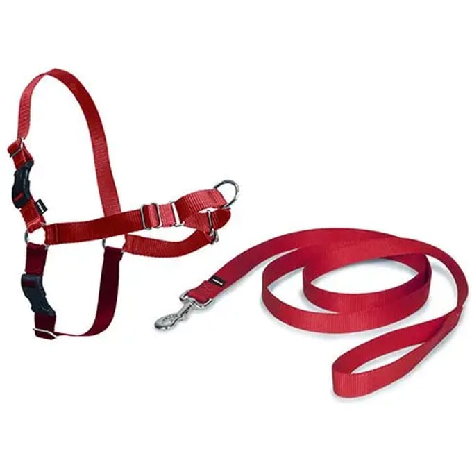 Hondentuig PetSafe Easy Walk