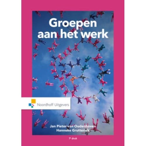 Groepen Aan Het Werk - Jan Pieter van Oudenhoven