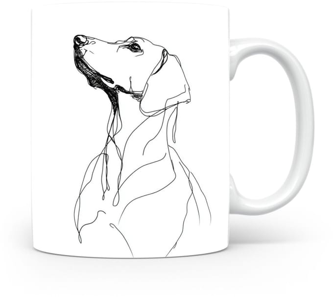 Beker Schillerstövare (Schiller Hound)