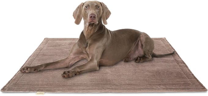 Knuffelwuff Cord Hondenkleed Timor 80x60cm Bruin