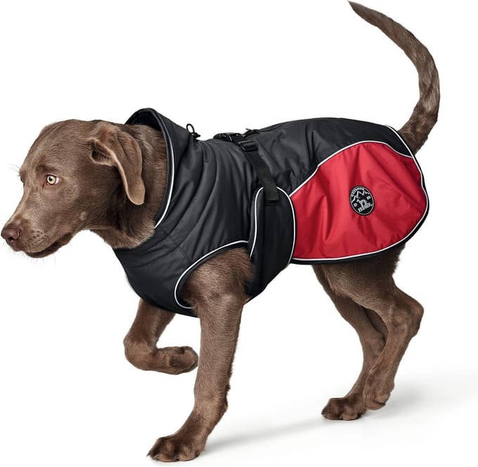 Hunter Hondenjas Uppsala Cozy Rood 60-92 cm